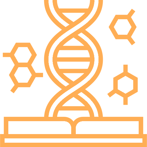 St. Teresa School Gokhla